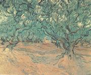 Vincent Van Gogh Olive Trees (nn04) Sweden oil painting artist